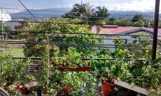 Costa rica love