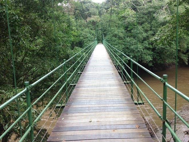 Estacion biologica la selva