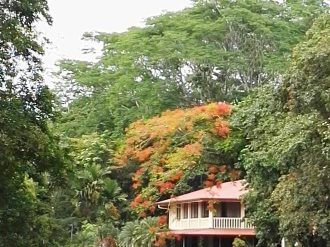 Albergue isla verde lodge