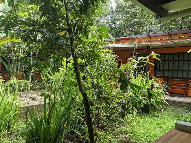 Aracari Garden Image