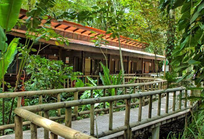 Evergreen lodge