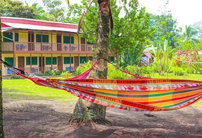 Hotel tortuguero beach front