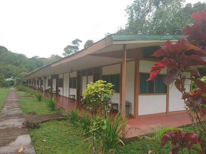 Ilan ilan tortuguero