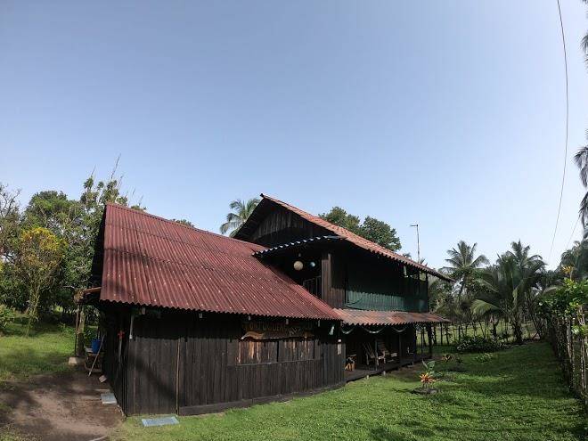 Tortuguero rustico