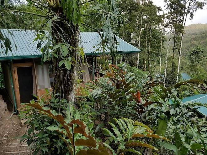 Pacuare outdoor center