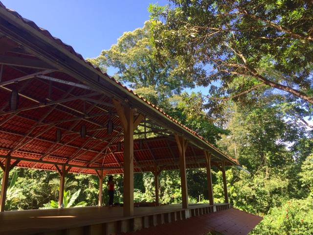 Amaser yoga center & cafe