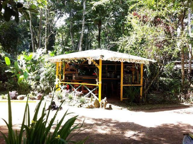 Cabinas punta uva