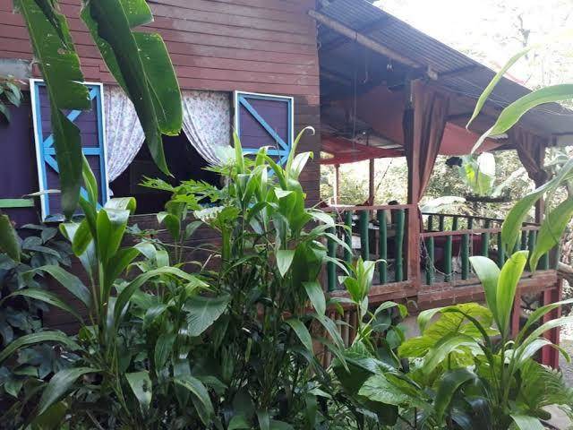Hotel caribbean