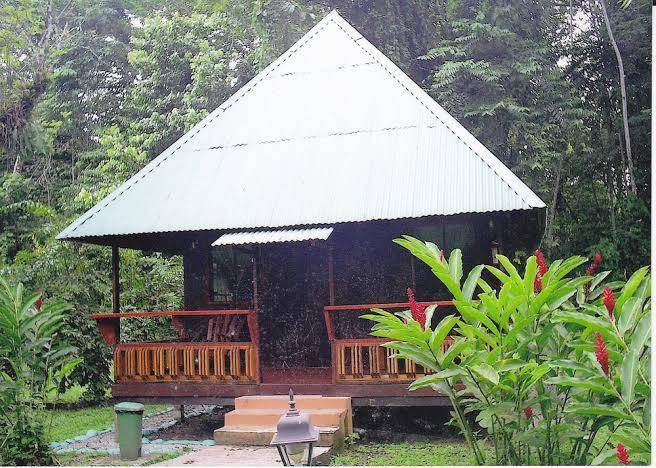 Hotel el pizote lodge