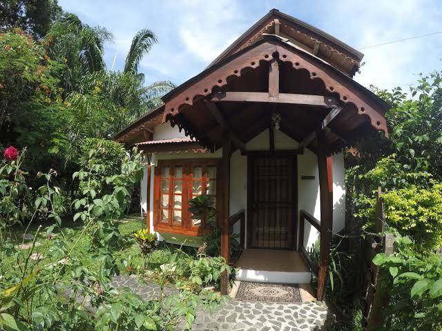Lotus garden