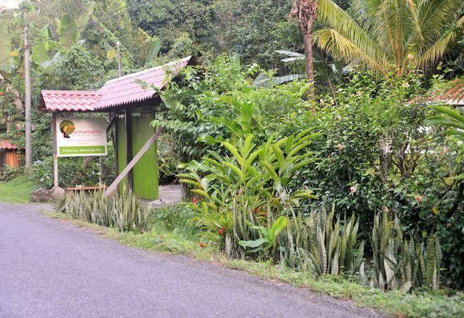 Pachamama jungle river lodge