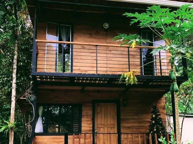 Papaya wildlife lodge