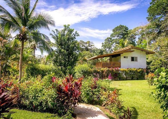 Passion fruit lodge ecolodge cahuita