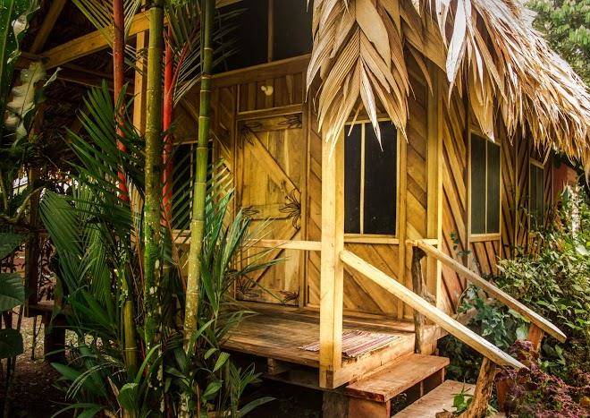 Wildlife lodge cahuita