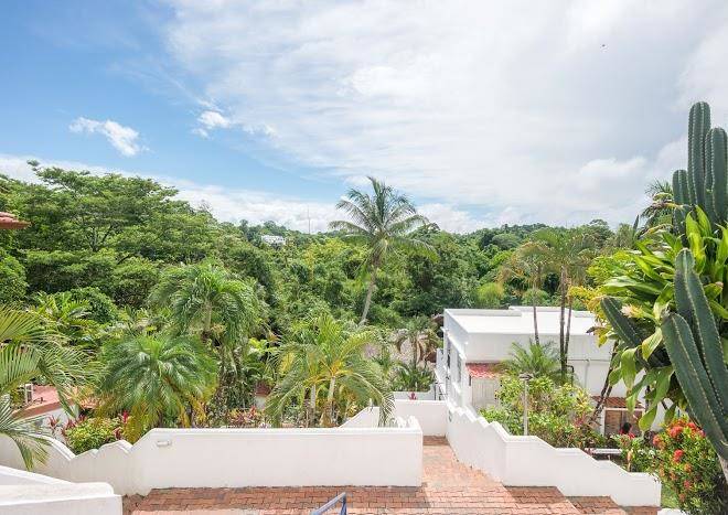 Selina manuel antonio