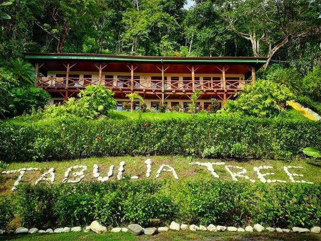 Tabulia tree hotel