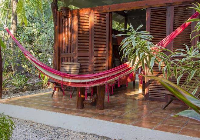 Funky monkey surf & yoga lodge