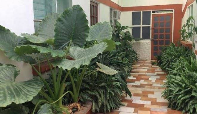 Hotel montezuma pacifico