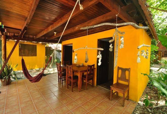 Howler monkey hotel