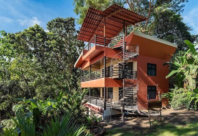 Wild sun jungle resort