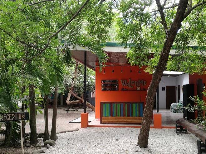 Zeneidas surf garden