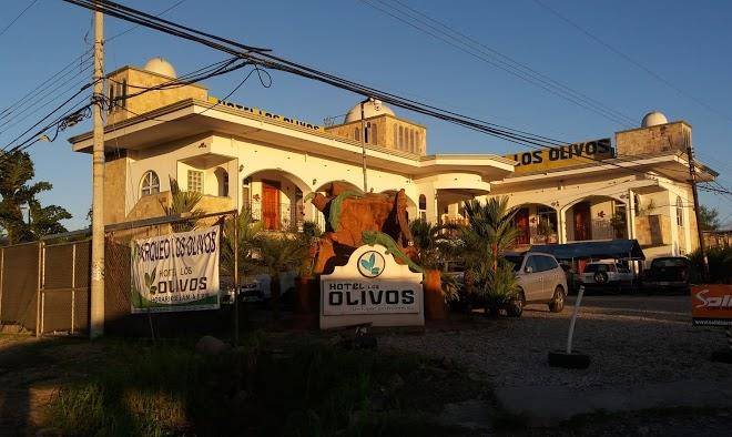 Hotel los olivos