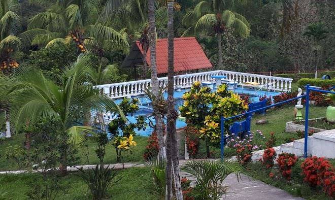Hotel las palmas