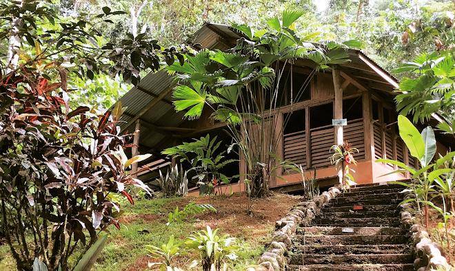 Amazonita ecolodge