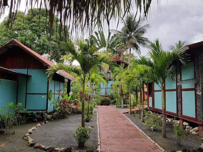 Au Coeur Du Soleil Image