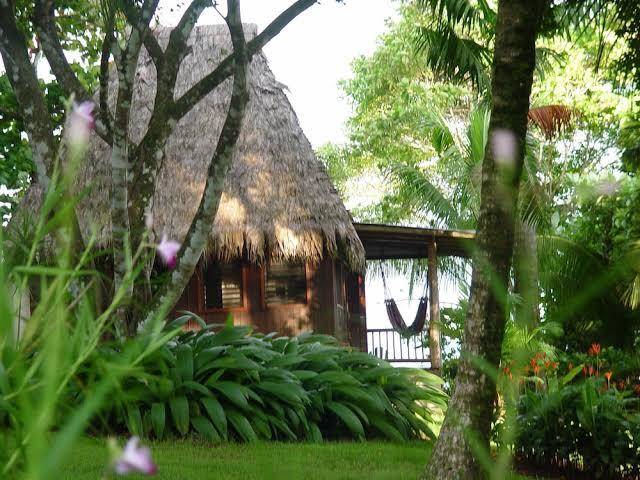 Bosque del cabo