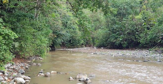 Bosque del rio tigre lodge