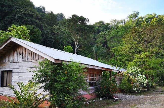 Cabanas el canto del tucan cabinas golfito
