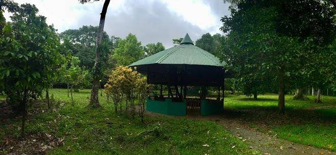 Dolphin Quest Costa Rica Image