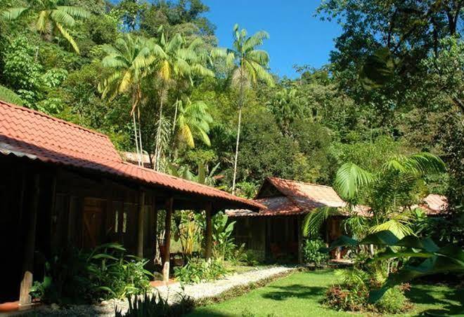 Esquinas rainforest lodge