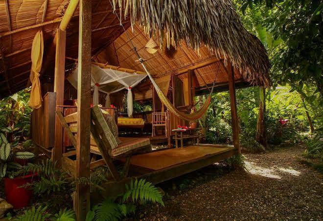 Finca exotica eco lodge
