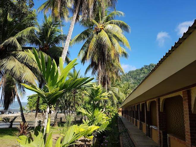 Hotel las gaviotas fishing marina resort