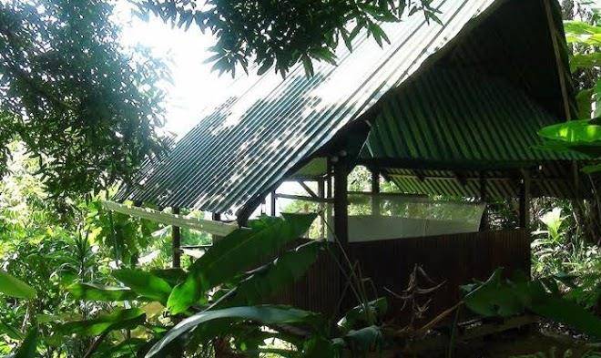 Ka'kau jungle cabinas