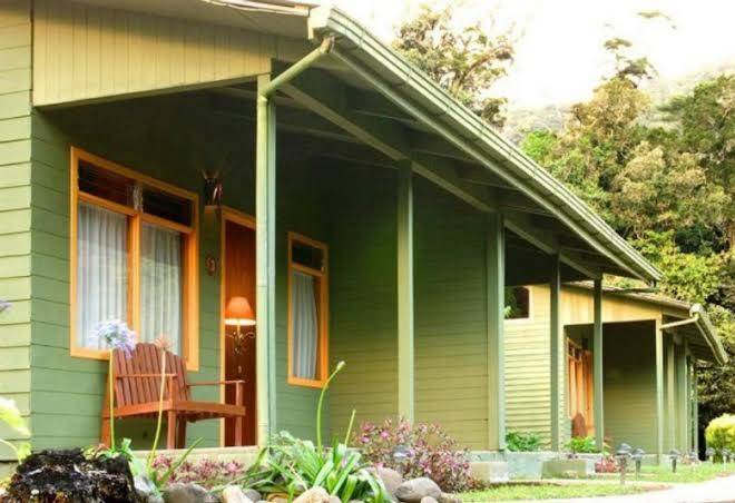 Manakin lodge monteverde