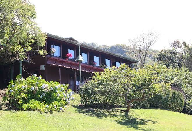 Cloud forest lodge