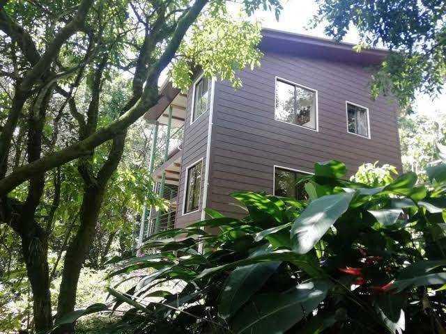 Monteverde moon forest