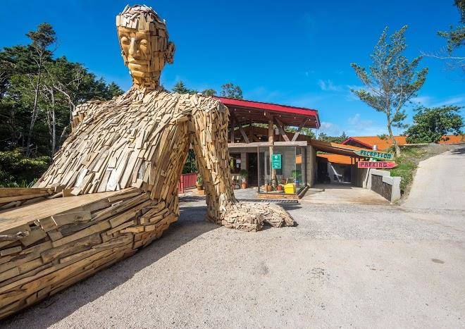 Selina Monteverde Image