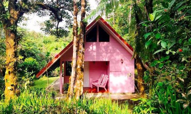 Cabana las orquideas