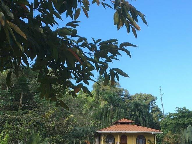 Cabanas tico gringo