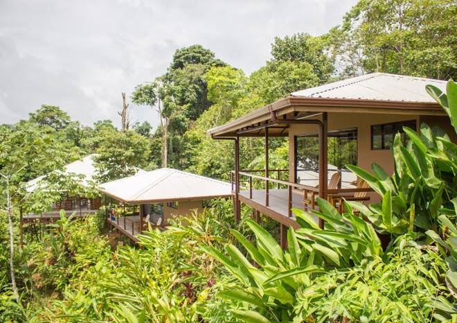 Drake Bay Greenleaf Image