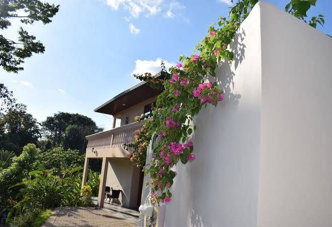 Hotel Margarita Drake Bay Image