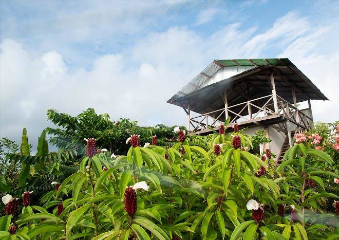 Hotel restaurante bella vista corcovado