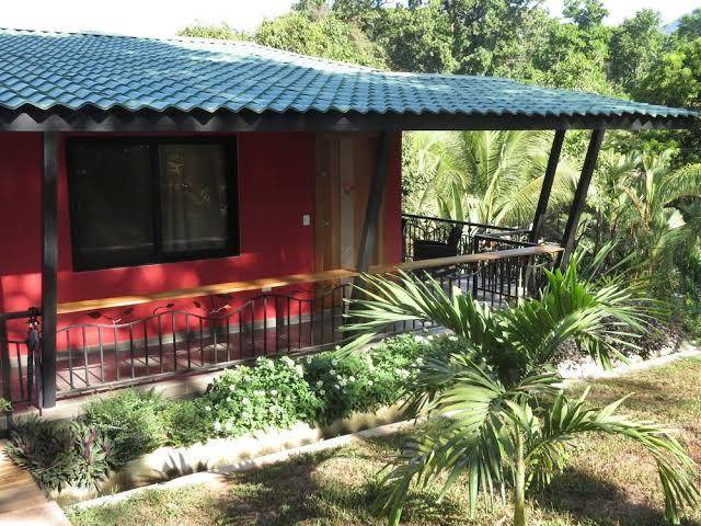 Oasis de las palmas