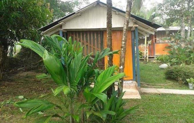 Rancho verde de osa