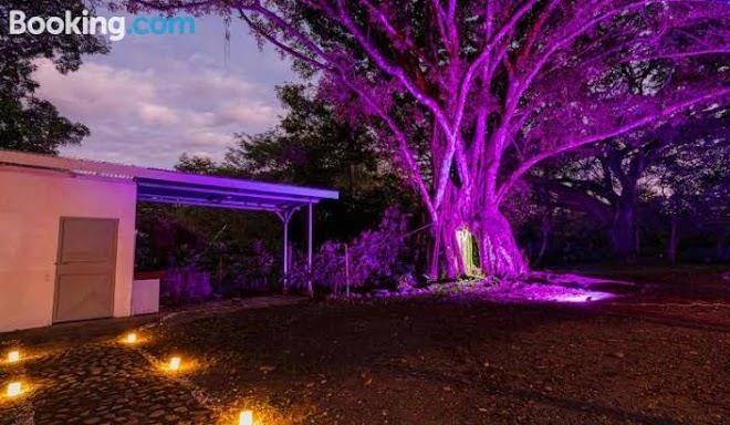 Tribe boutique hotel