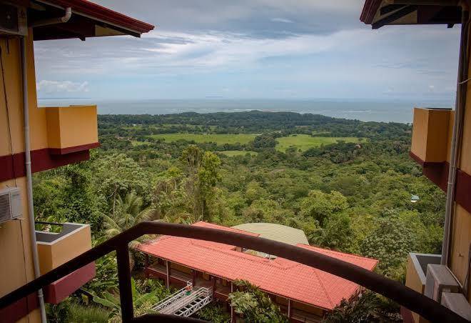 Vista ballena